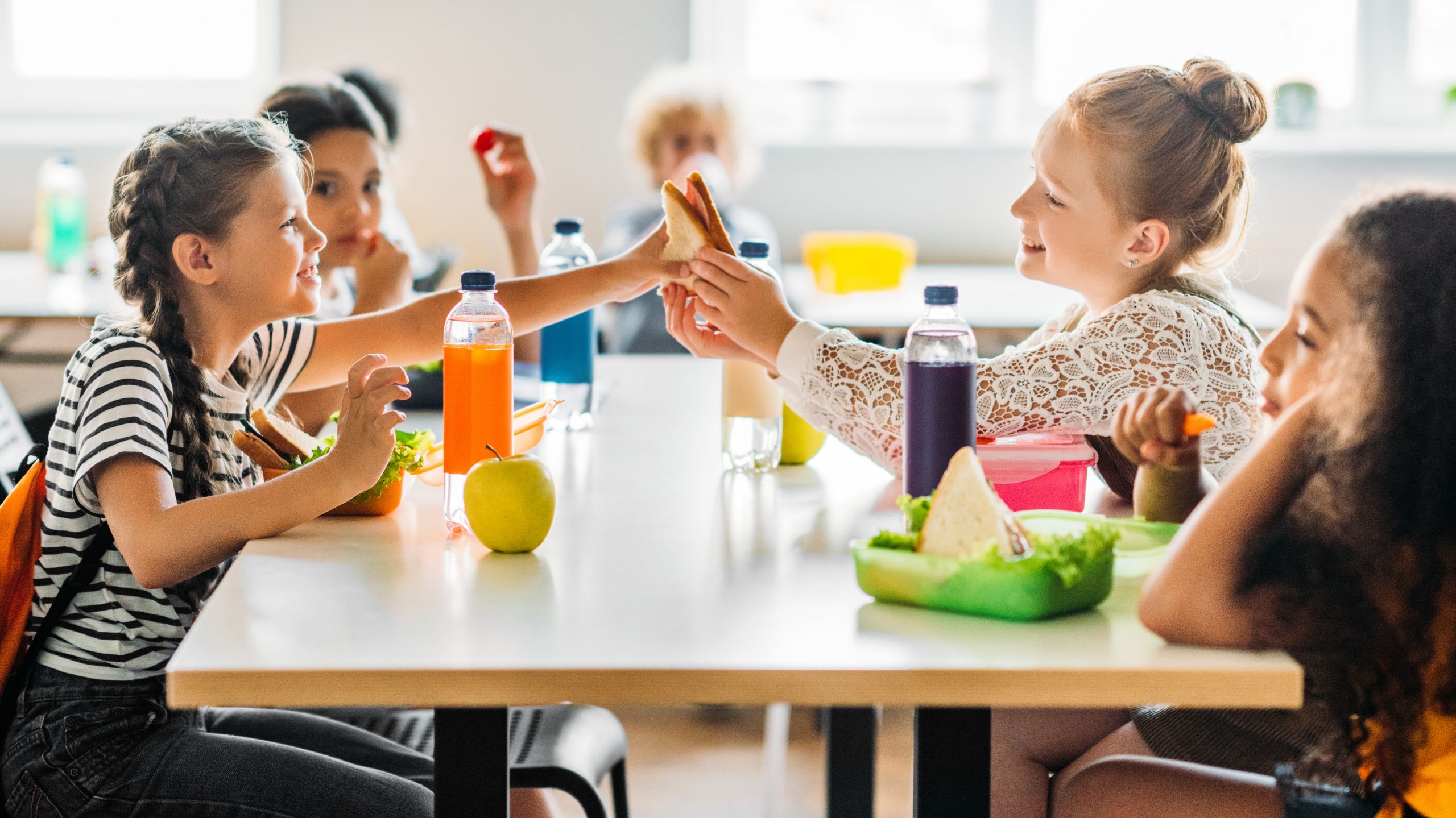 Why Should Canteen Food Be Healthy