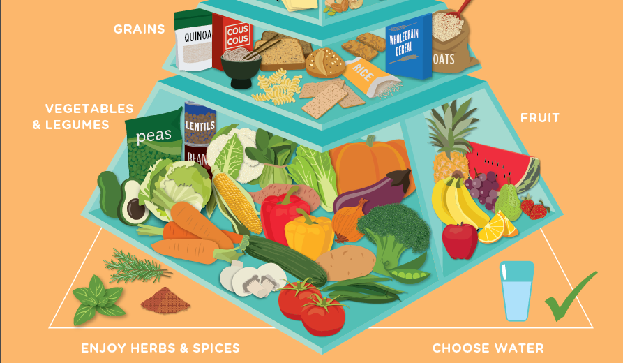Healthy Lifestyle Food Pyramid