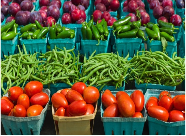 Food Group Word Search